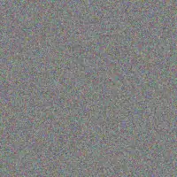 Alexane Daniel maddison schowalter