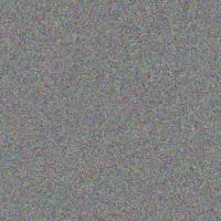 Alfred Otto personal sibeko