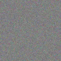 Alicia Munyai angelique singh