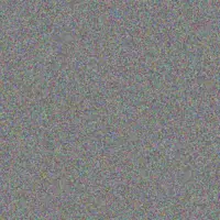 Alicia Munyai barend wilson