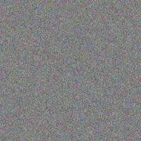 Alison Bailey steve hall