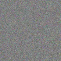 Alison Bekker cecilia cooper