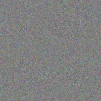 Alison Bekker shawn madlala