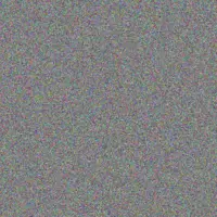 Alison Steenkamp conrad grobler