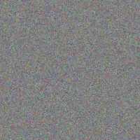 Alison Steenkamp lerato duma