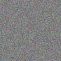 Alyson Kautzer waldo schaefer