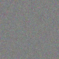 Amanda Gouws juanita jackson