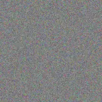 Amanda Smith patricia saunders