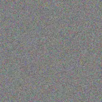 Amelia Clark ava ward