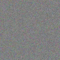 Amy Gray max bennett