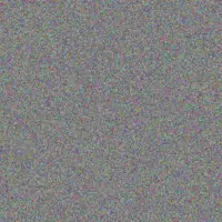 Amya Stiedemann dianna littel