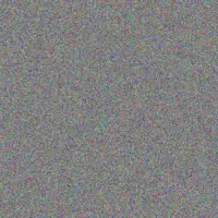 Amya Stiedemann macey keeling