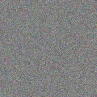 Anahi Kessler katrine bednar