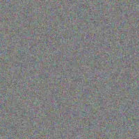 Anastasia Reilly lavon ankunding