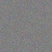 Andrea Barnard fikile munyai