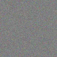 Andrea Barnard natalie campbell