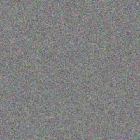 Andrea Barnard russell ngobeni