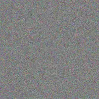 Andrea Mulaudzi amanda da silva