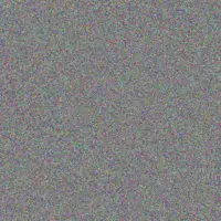 Andrea Mulaudzi dineo van rensburg