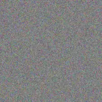 Andrea Mulaudzi gillian saunders