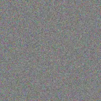 Andrew Hlophe mohammed lottering