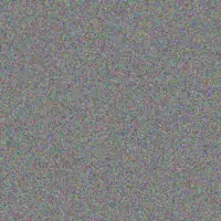 Aniyah Gutmann liliana rippin