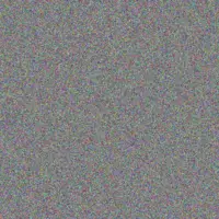 Anna Hoffman neville oliver