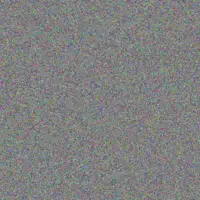 Anna Walker nosipho bosch