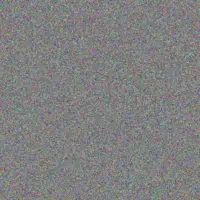 Anthony van Tonder veronica kriel