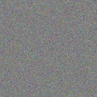 babalwa Van Dyk gordon padayachee