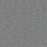 Barend Petersen rebecca lewis