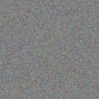 Bernard Van Rensburg michael pienaar