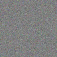 Birdie Haley rubie rolfson