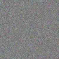 Boitumelo Coetzer lebogang andrews