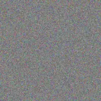 Boitumelo Phillips nkosinathi bell