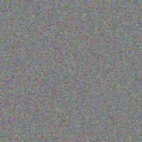 Boitumelo Phillips warren schoeman