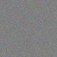 Bonnie Kuphal jaleel schuster