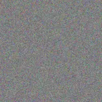 Brandon Ntshangase susan peter