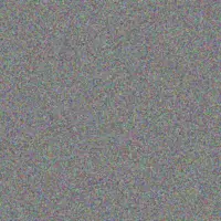 Brandon Terblanche ian van den heever