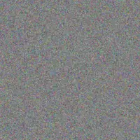 Brisa Bernier loyal wiza