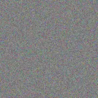 Bruce Lottering nicolette carstens