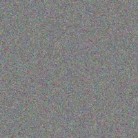 Bryan Venter mashudu nel