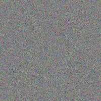 Brycen Dooley neil steuber