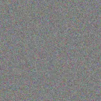 Buford Romaguera myrtis vonrueden