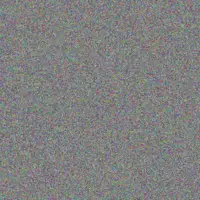 Bulelwa Phillips mogamat van eeden