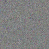 Bulelwa Phillips nicolaas bell