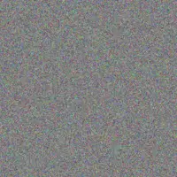 bulelwa Zondo claudia koekemoer