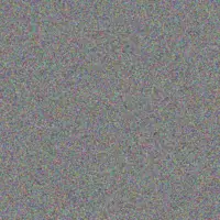 Cade Welch jennie gusikowski