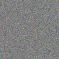 Caleigh Wintheiser kenya schimmel