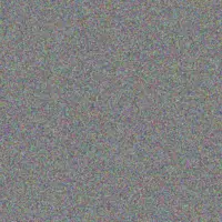 Candice Masuku nicolaas mazibuko